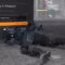 The Division 2: Epic Raid Fail – Nevar Forgit – Gameplay