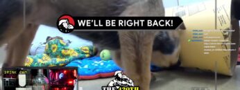 Warhammer: Vermintide 2: Semper & Vis vs. Chat – Level 7.5/10